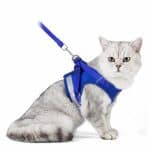 TravelCat™ - Kattentuig en Riem Set-Koopje.com