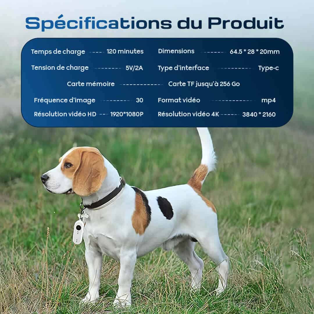 7. Specifications