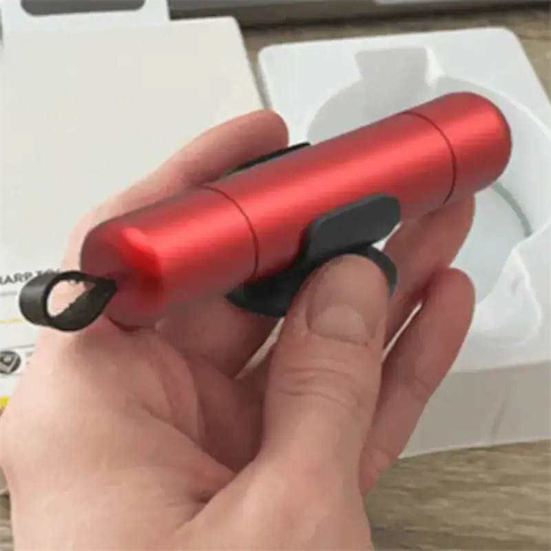 Femme offre Safekey pour plus de sécurité